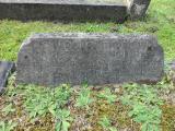 image of grave number 173412